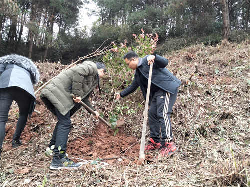 背簍人家植樹節(jié)